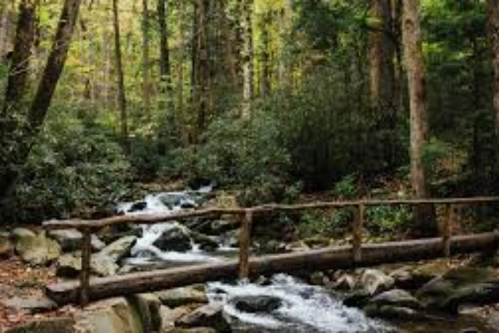 Honeymoon Getaway In Woods Near Noc And Smoky Mtn Rr Villa Bryson City Exterior photo